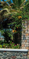 Avra Santorini