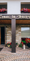 PENSIUNEA LA CONAC IN BUCOVINA