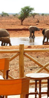 Safari Tsavo East - West (2 nopti) + Leopard Beach (5 nopti)