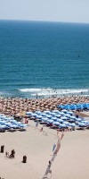 Complex Steaua De Mare - Hotel Delfinul