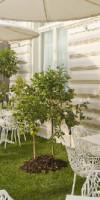 BOSCOLO EXEDRA