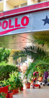Apollo Ovicris