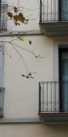 Up Suites Bcn