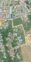 PALUMBO KENDWA