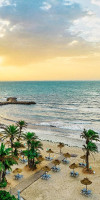 Palm Azur