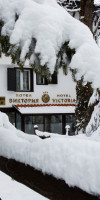 Victoria Borovets