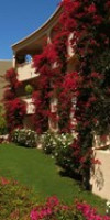 Vila Palmeira