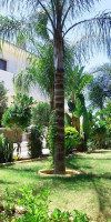 Villa Demetra