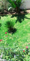 Villa Demetra