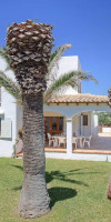 Villa Forti 101
