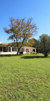 Villa Golfinho