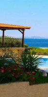 Village Mare