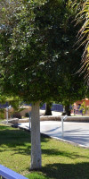 Villas Bahía Meloneras-BAHMEL01