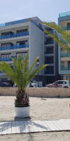 Wave 1 Promenada Apartments