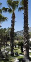 X Life Hotel Sarigerme