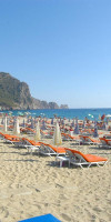 SOL PALMANOVA.