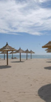 Yadis Hammamet