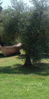 Yianetta Hotel Apartments