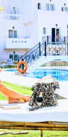 Yiannis Manos Hotel