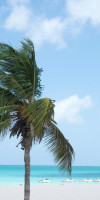 Yoyita Suites Aruba