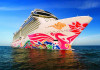 Norwegian Joy