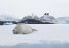 Seabourn Quest