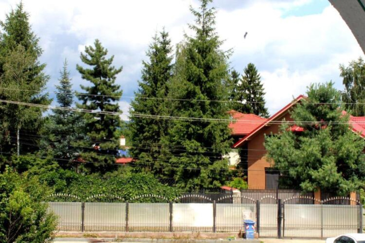 AnuÈ›a