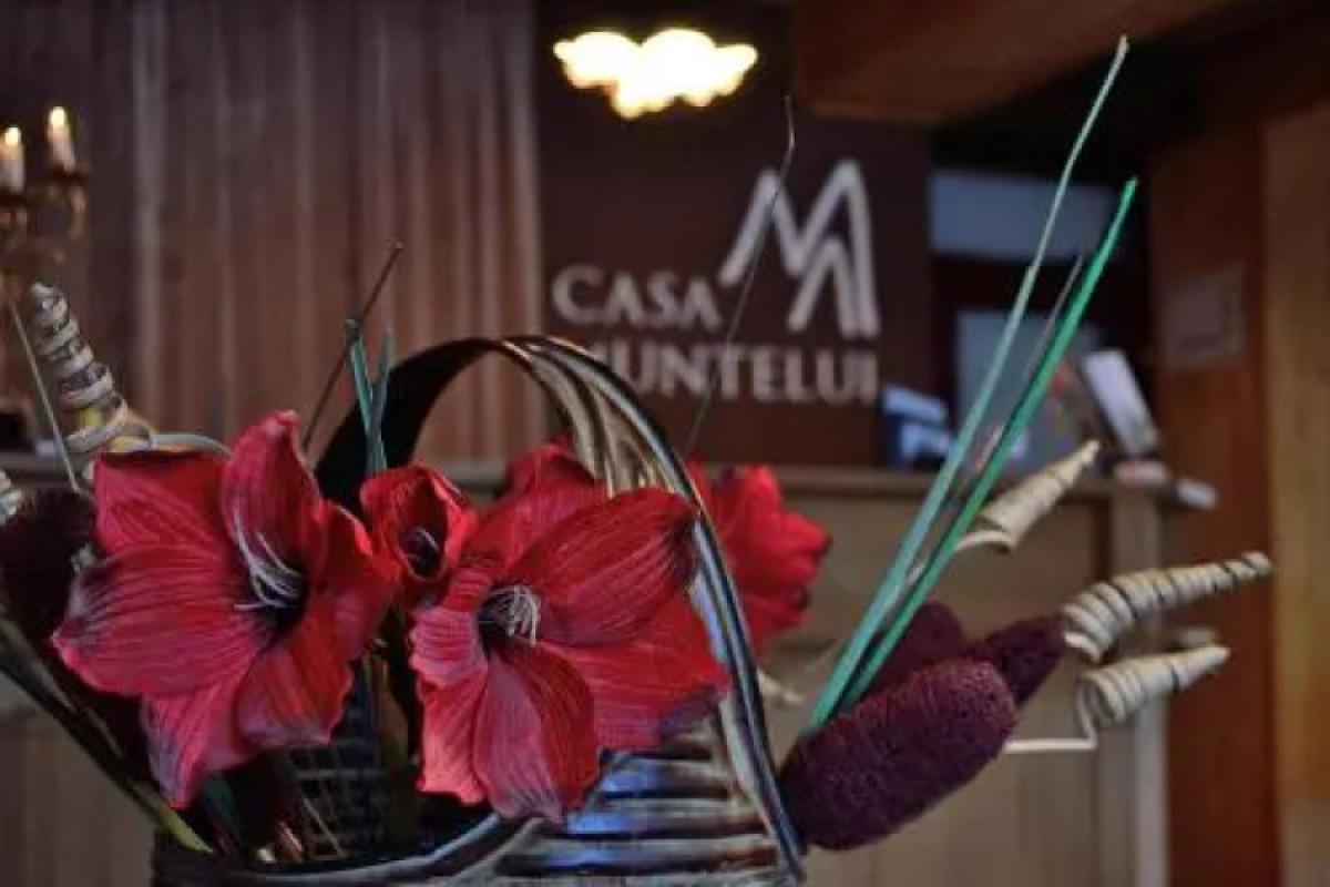 Casa Muntelui