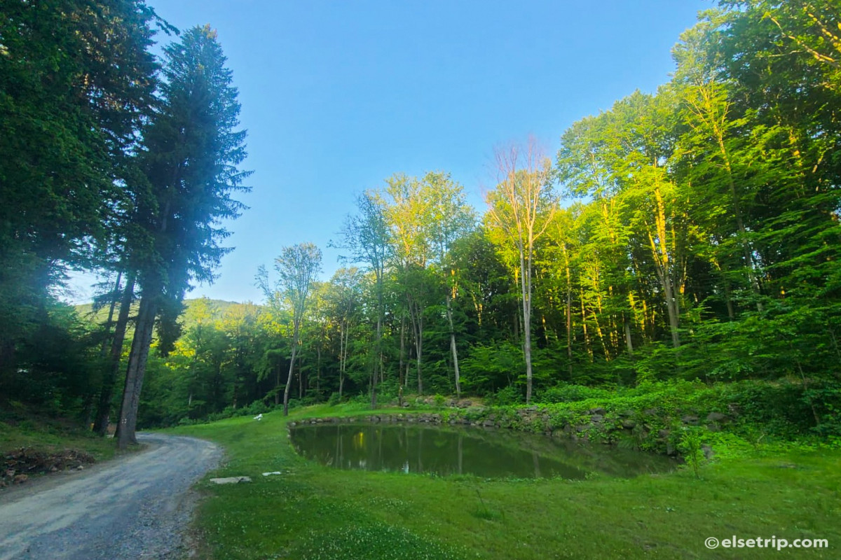 Băile Puturoasa