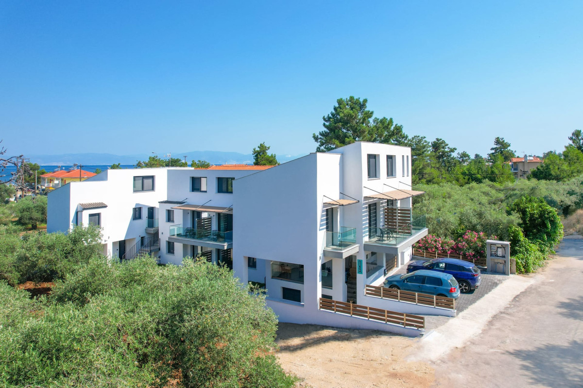 Olive Roots Thassos