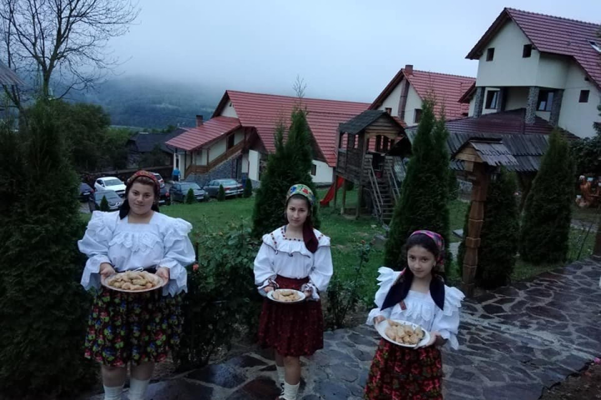 Pensiunea Valea Branzei (Barsana)