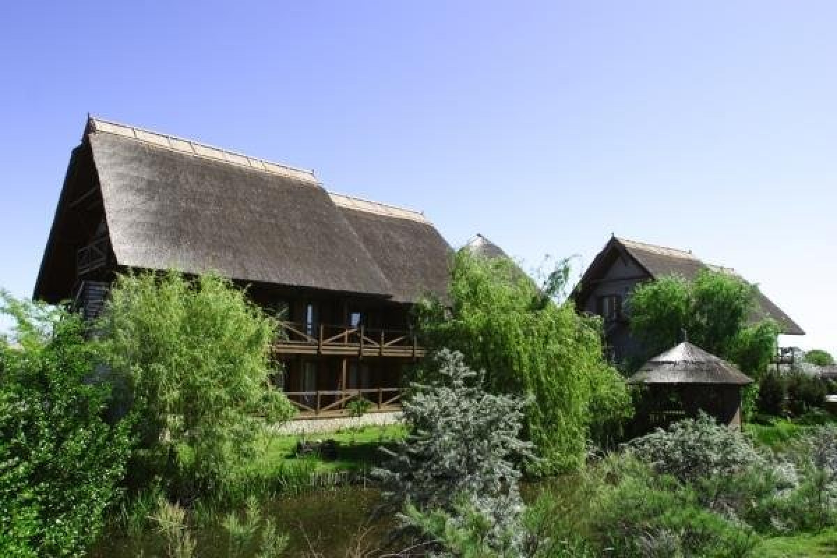 COMPLEX GREEN VILLAGE