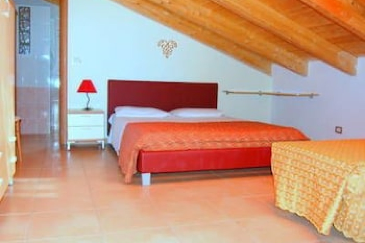 AGRITURISMO I VIGNETI