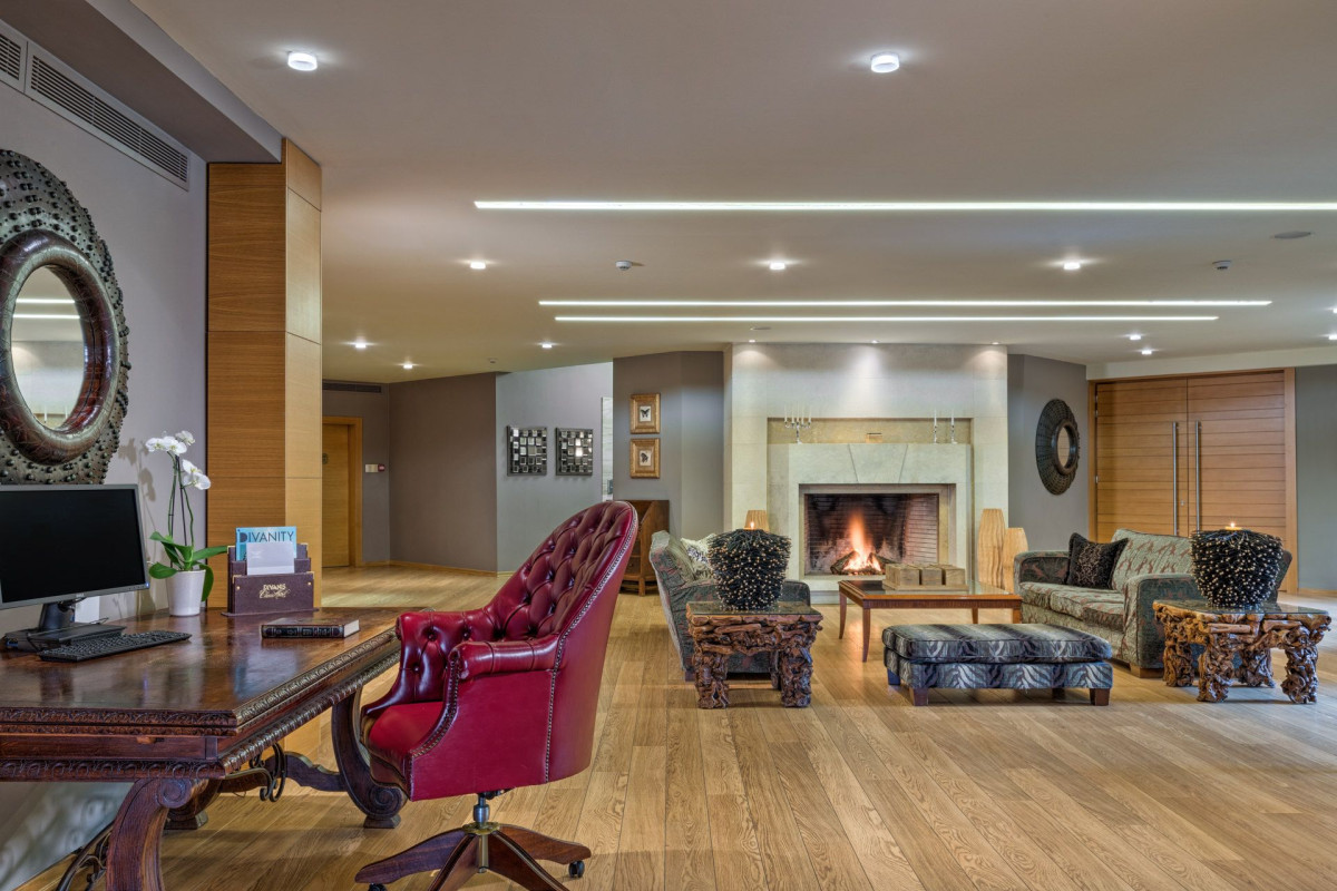 Divani Meteora Hotel