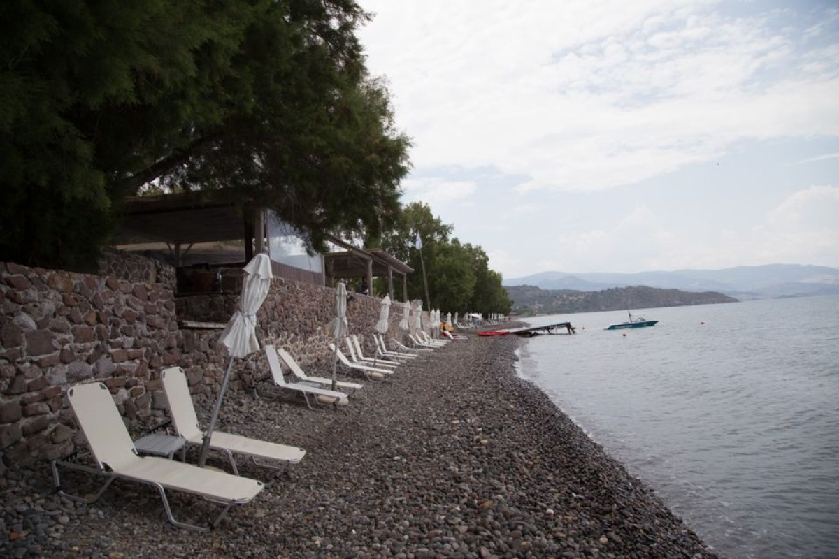 Olive Press Hotel  Apartments