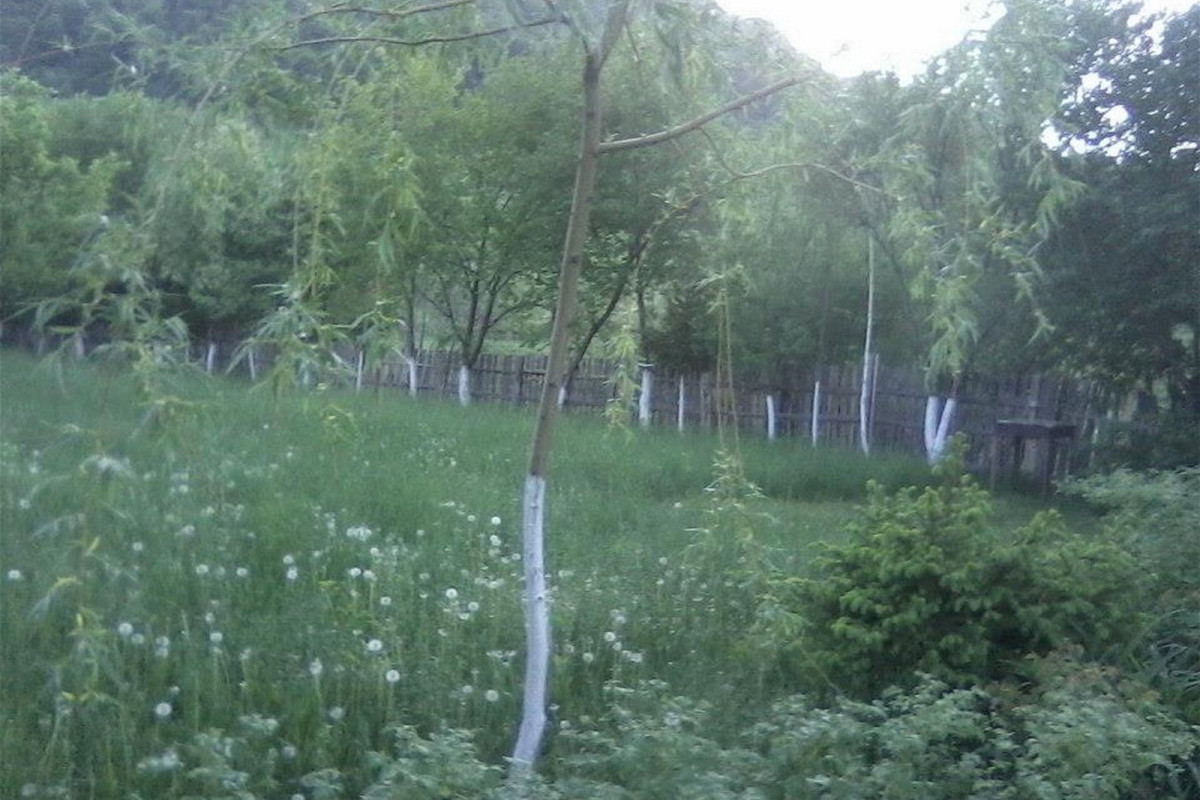 Pensiunea Irina 1