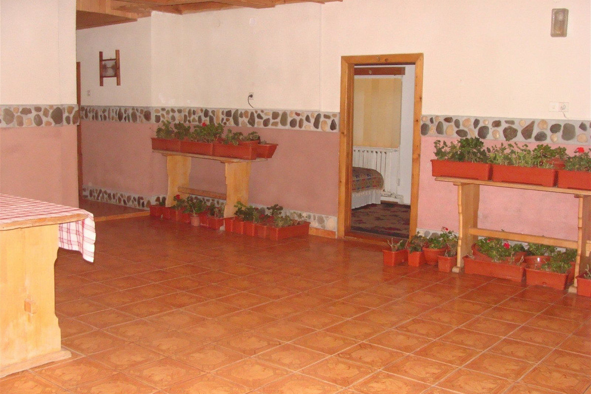 Pensiunea Irina 1