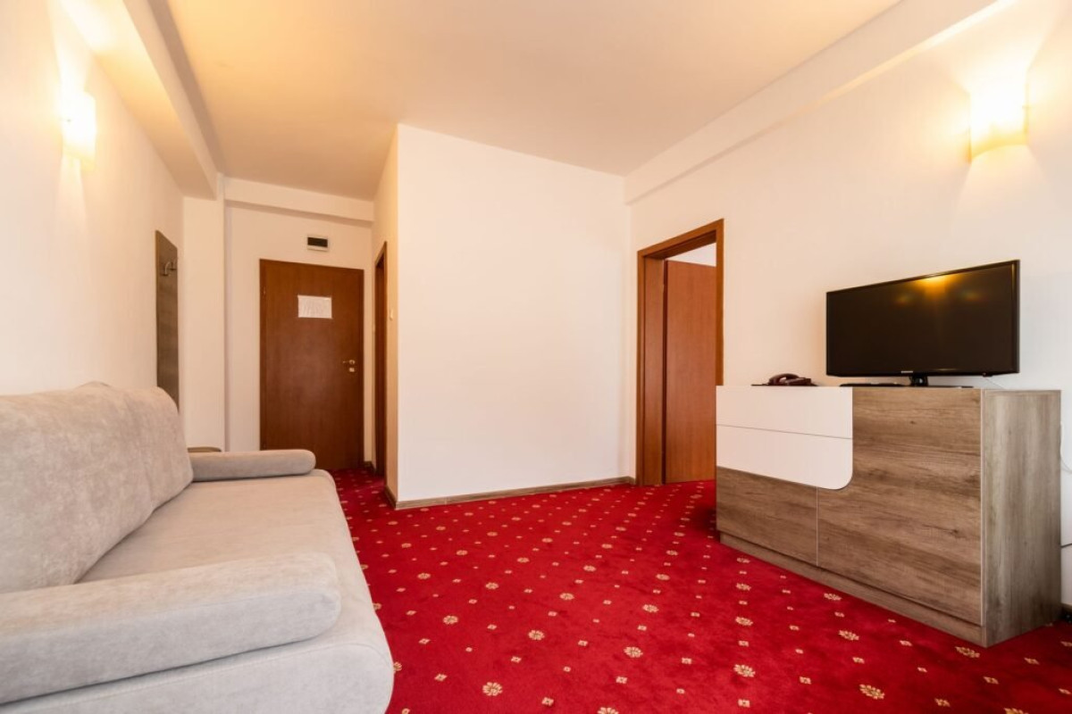 Half Day Tour of Bucharest (4 - 5 h,without accommodation)