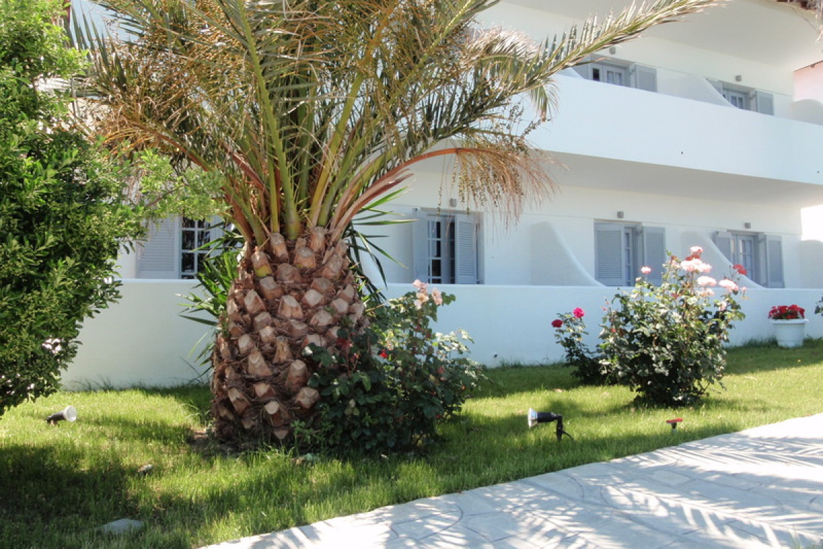 White Suites Resort