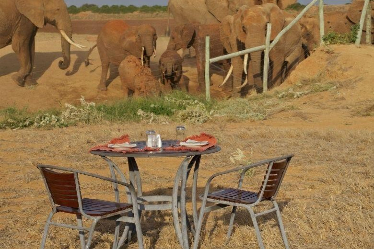 Bahari Beach and Safari Tsavo Explorer RO