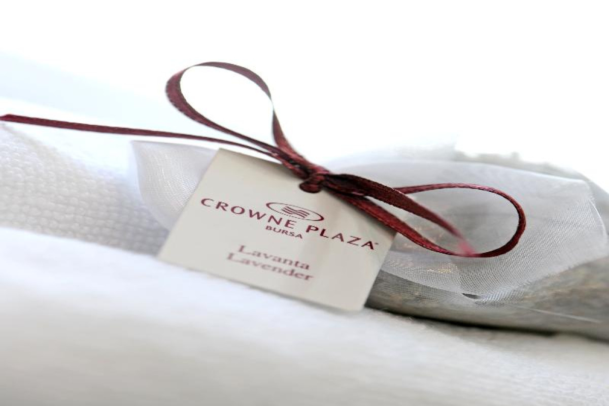 Crowne Plaza Bursa Convention Centre  Thermal Spa