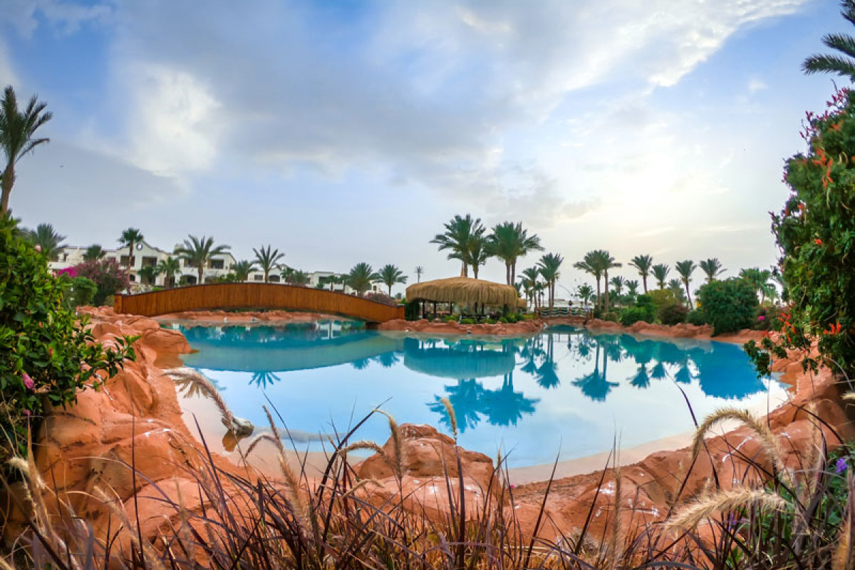 ROMANCE REGENCY CLUB*****