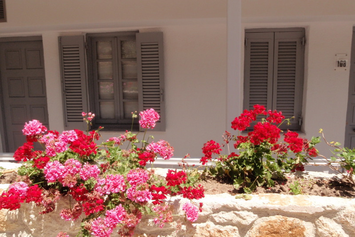White Suites Resort