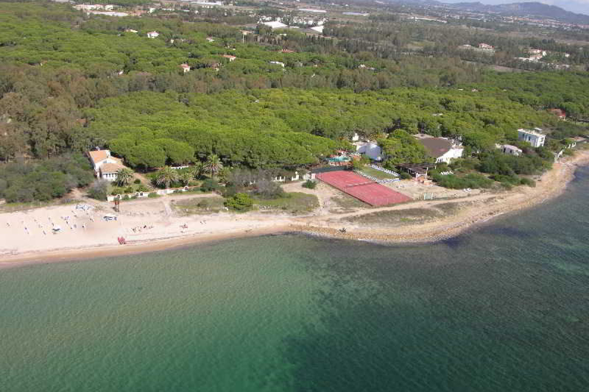 MARE PINETA