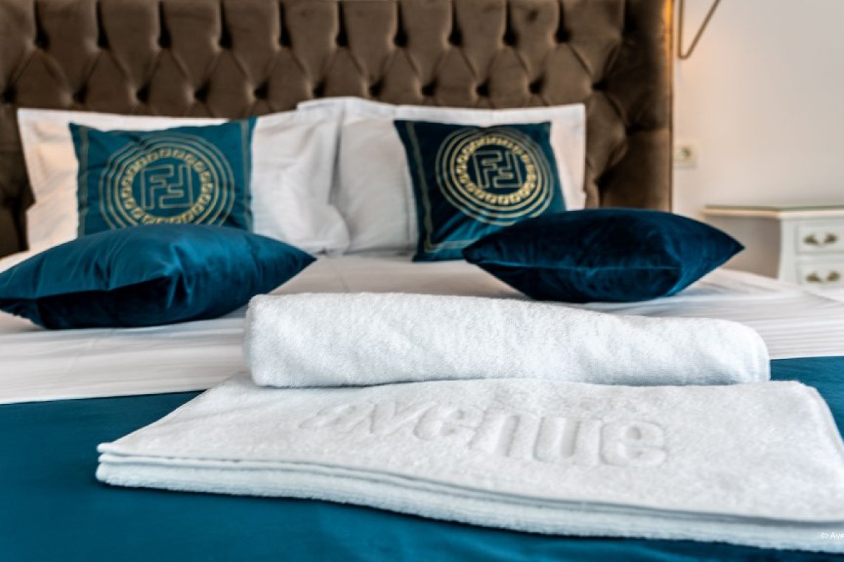 Hotel Ibis Styles Dunarea