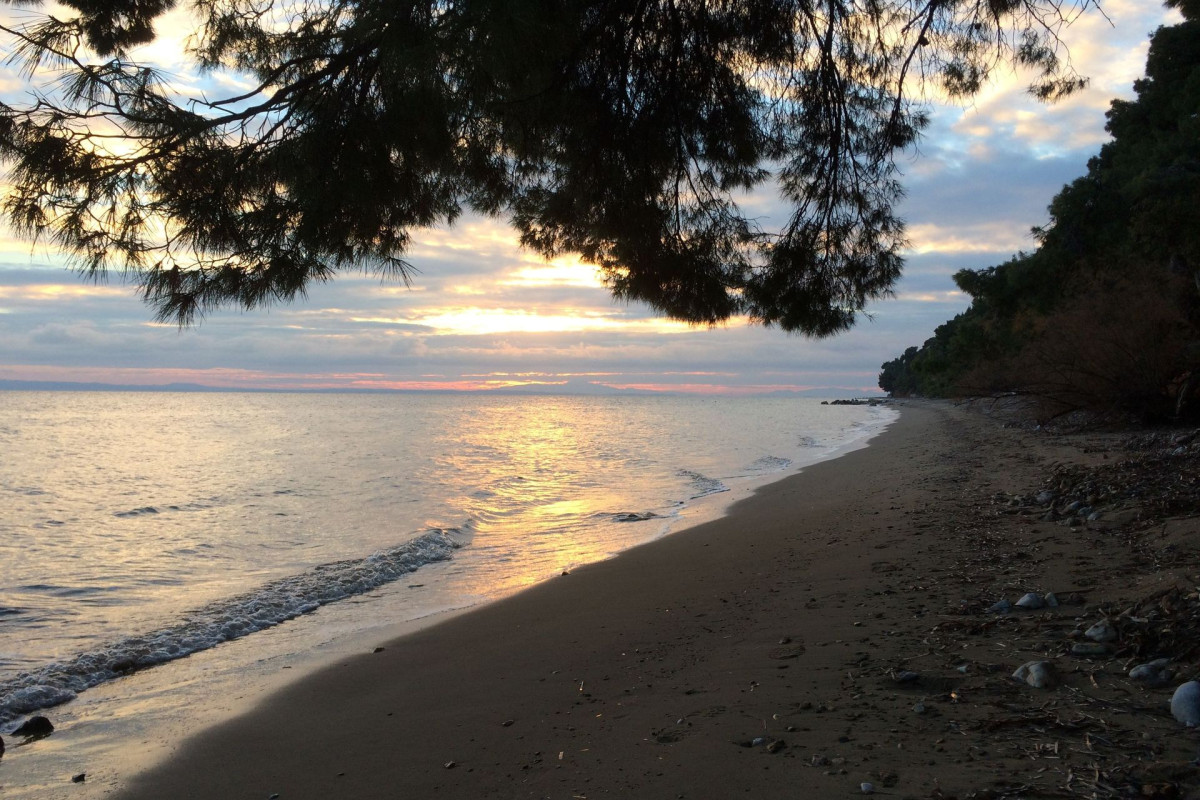 Sithonia Lodge Chalkidiki
