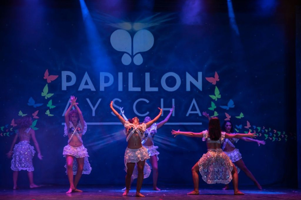 Papillon Ayscha