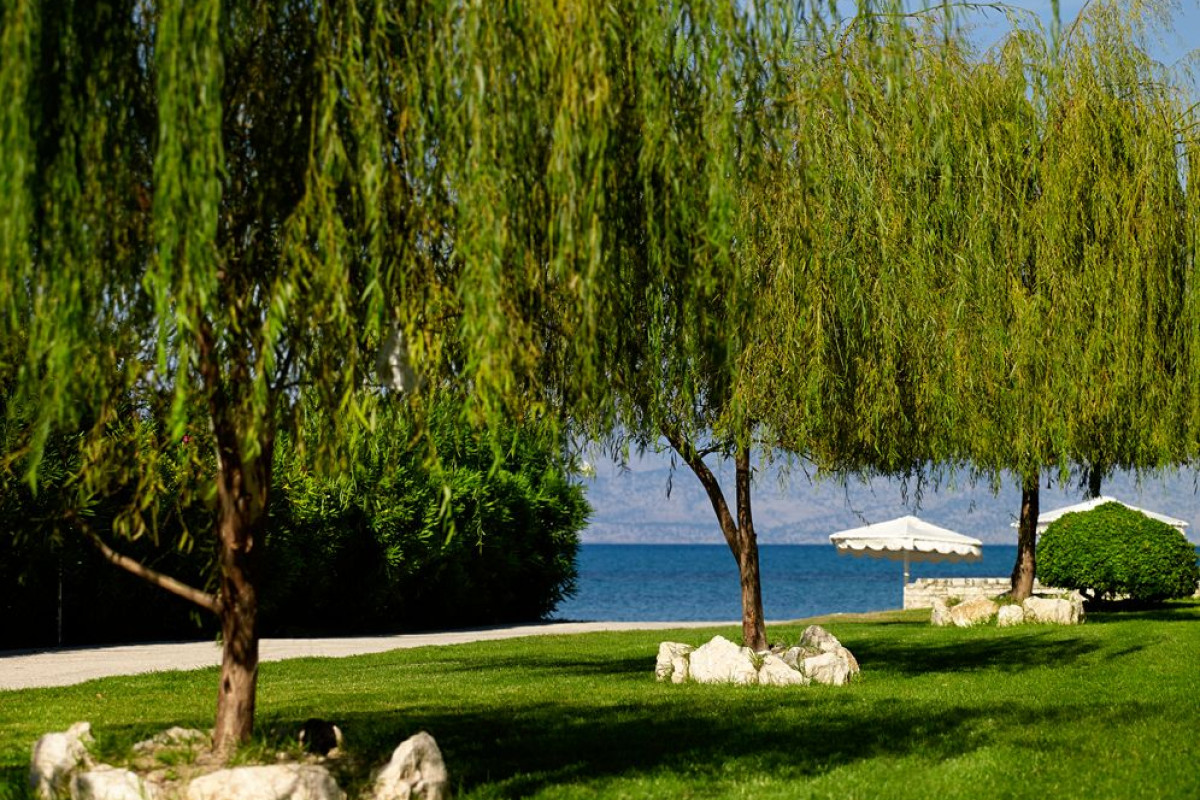 Roda Beach Resort  Spa