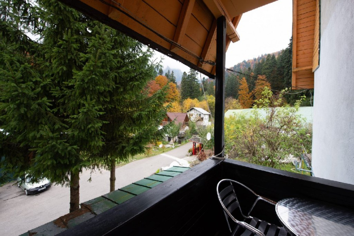 Transylvania Break (2 days)