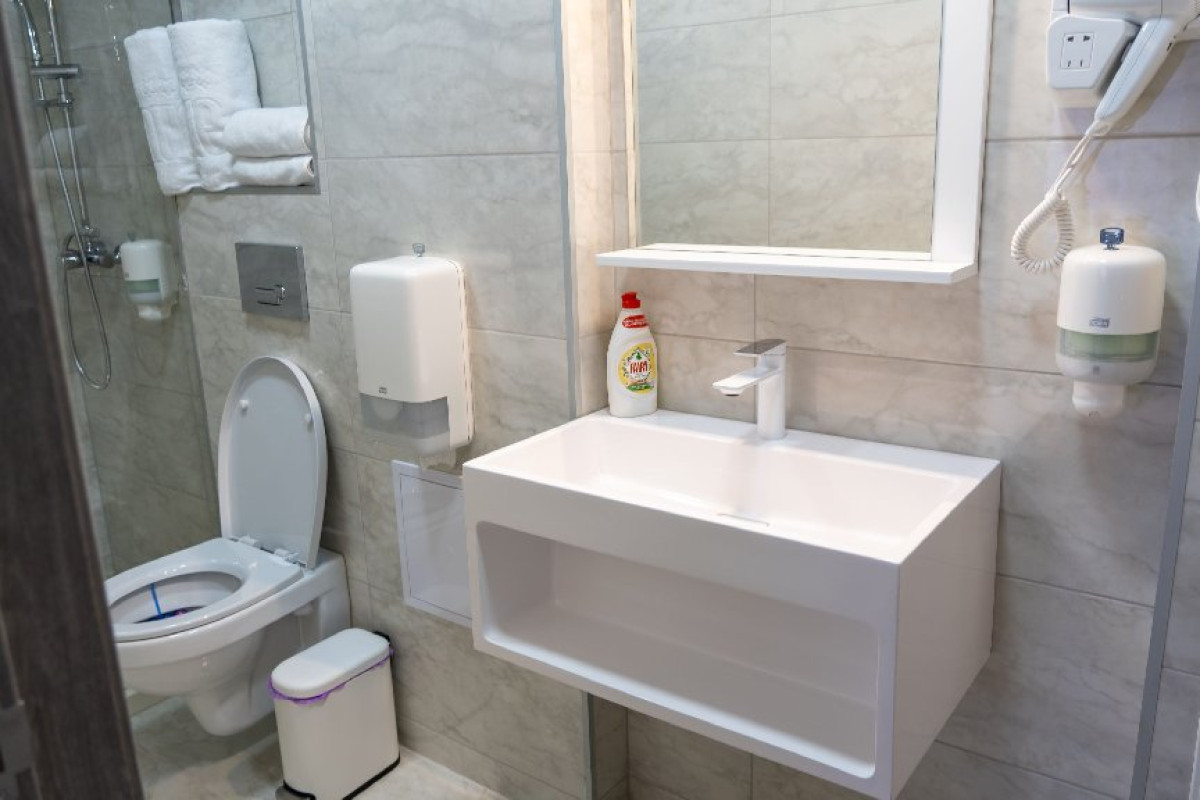 Hotel Ibis Styles Dunarea